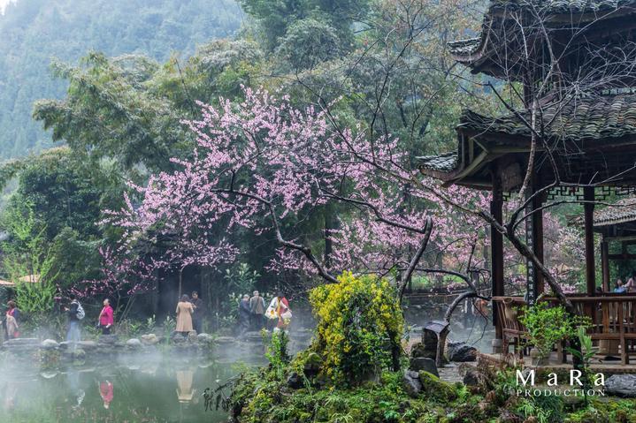 曝某头部电商企业急招鸿蒙开发高手 年薪超过百万