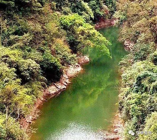 浓情腊八节 温暖社区情