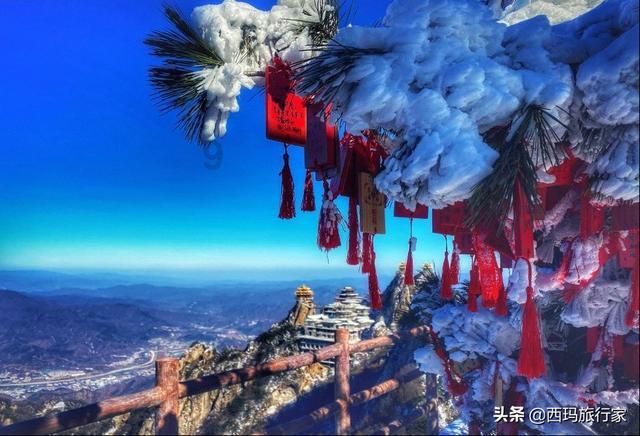 相约阿古拉 调研农文旅中视艺宣